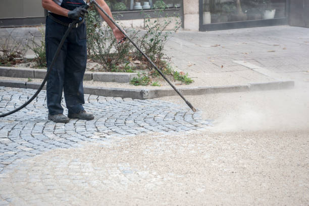 Best Driveway Pressure Washing  in Bellevue, PA